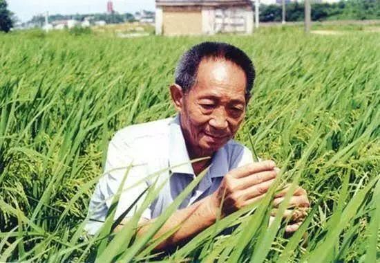 一日三餐，米香彌漫，飽食者當(dāng)憶袁公！